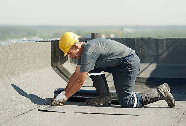 Best Insulation Installation Services in Fmington, AR